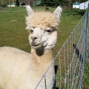 Meet your Posher, Kara